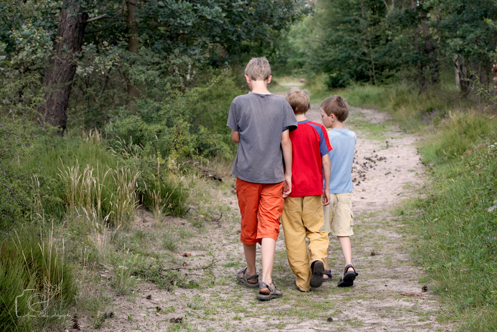 Photo lifestyle : Les trois frères en forêt de Fontainebleau